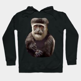 The wonderful eyes of a Colobus monkey Hoodie